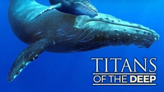 Titans of the Deep