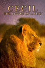 Cecil: The Legacy of a King