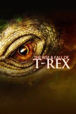 The Rise & Fall of T-Rex