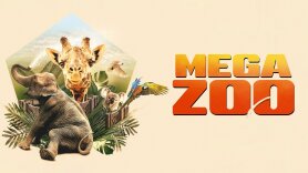 Mega Zoo