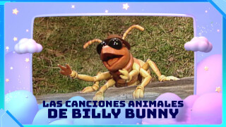 Las canciones animales de Billy Bunny