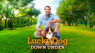 Lucky Dog: Down Under