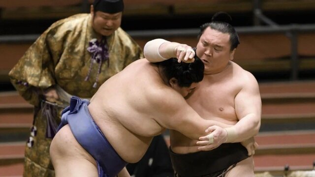 Fight Sports: Grand Sumo