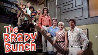 The Brady Bunch