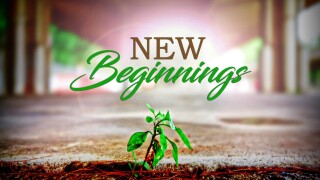 New Beginnings