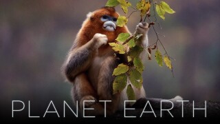 Planet Earth