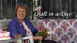 Quilt in a Day