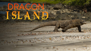 Dragon Island