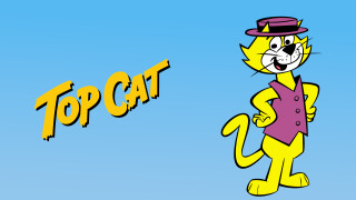 Top Cat