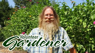 Volunteer Gardener