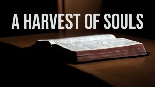 A Harvest of Souls