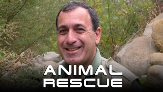 Animal Rescue