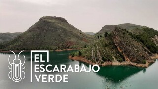 El escarabajo verde