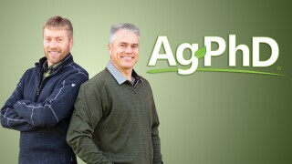 Ag PhD