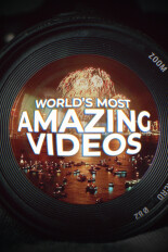 World's Most Amazing Videos