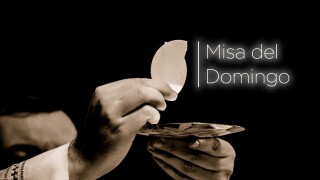 Misa del Domingo