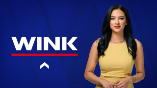 The WINK Noon News