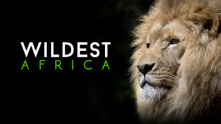 Wildest Africa