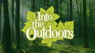 Into the Outdoors