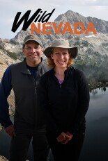 Wild Nevada