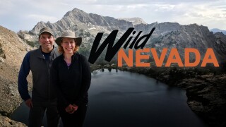 Wild Nevada