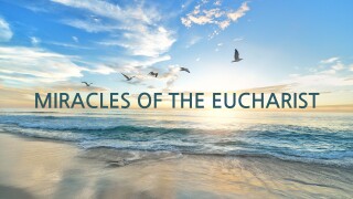 Miracles of the Eucharist
