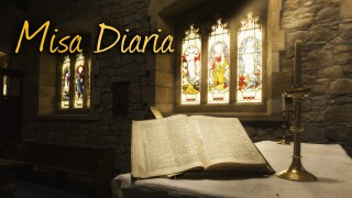 Misa diaria