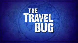 The Travel Bug