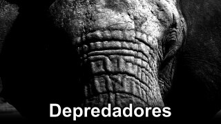 Depredadores