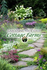 Gardening Made Easy by Cottage Farms