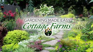 Gardening Made Easy by Cottage Farms