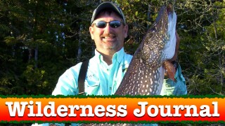 The Wilderness Journal