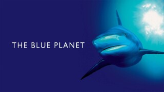 The Blue Planet