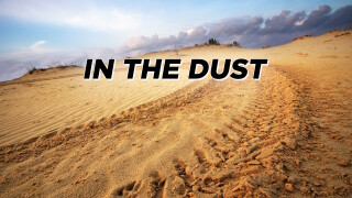 In the Dust