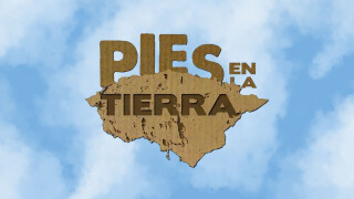 Pies en la Tierra