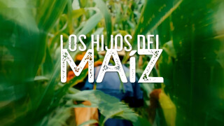 Los Hijos del Maíz