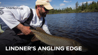 Lindner's Angling Edge