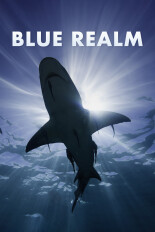 Blue Realm