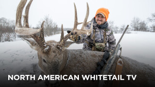 North American Whitetail