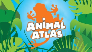 Animal Atlas