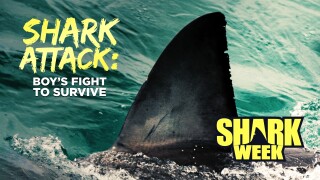 Shark Attack: A Boy's Fight to Survive