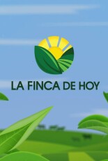 La finca de hoy