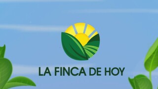 La finca de hoy