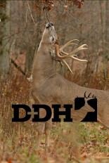 Deer and Deer Hunting