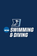 Men's College Swimming & Diving