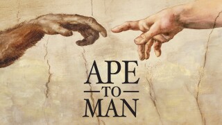 Ape to Man