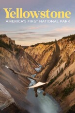 Yellowstone: America's First National Park