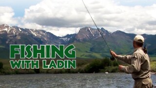 Fishing With Ladin