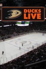 Ducks Live