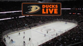 Ducks Live